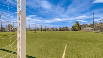 Two soccer fields